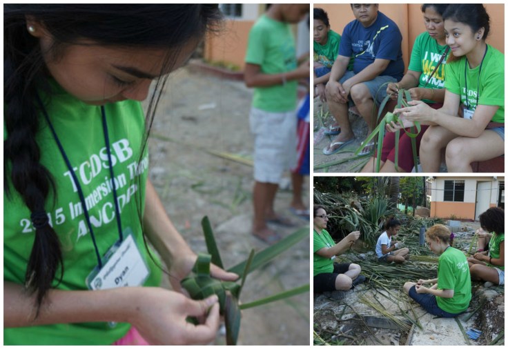 DSC05061 - C9 Collage